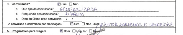 Trecho de formulário com informações médicas preenchido pelo médico que acompanha a criança e enviado pelo pai (Foto: Reprodução)