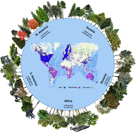 Mapa utilizado pelos pesquisadores para o estudo sobre a quantidade e biodiversidade de árvores no planeta (Foto: Cazzolla Gatti et al. / PNAS)