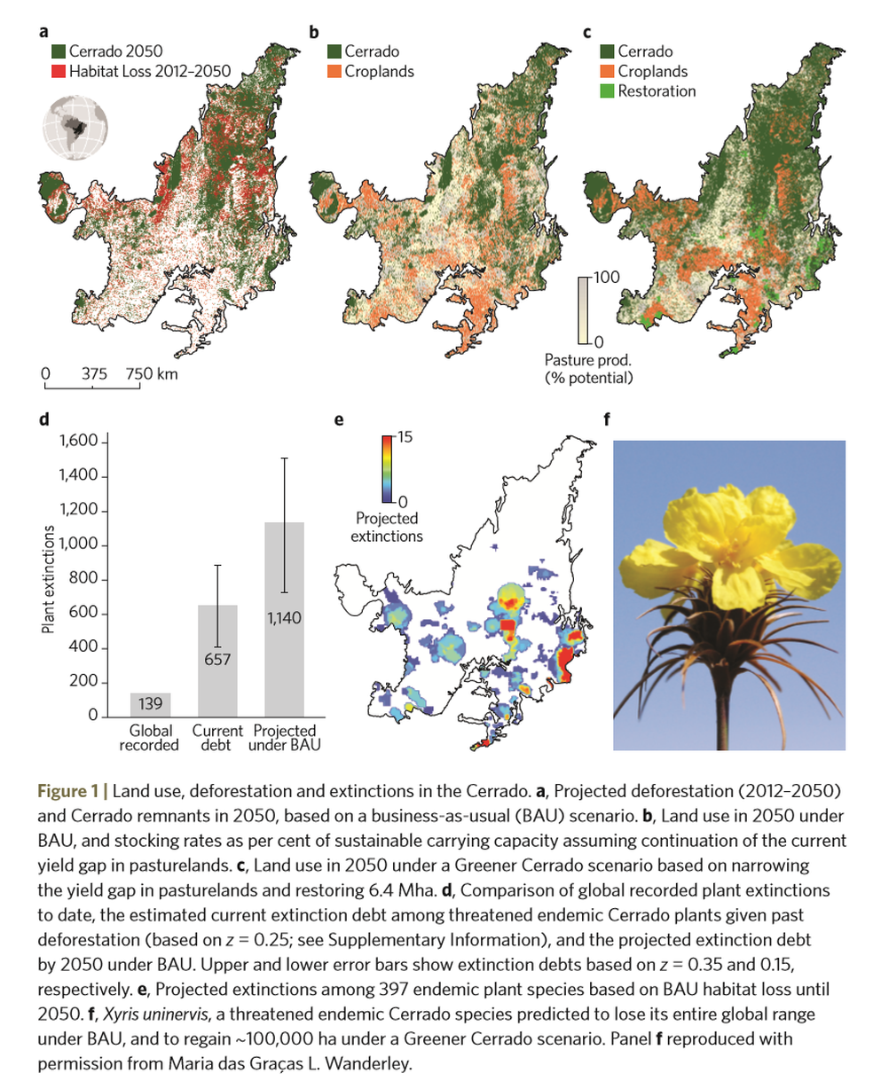 Pesquisa mostra que, até 2050, 34% do que resta do cerrado pode desaparecer (Foto: Reprodução)