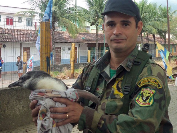 Agente ambiental que participou do resgate do pinguim em Muriqui (Foto: Divulgação / Prefeitura de Mangaratiba)