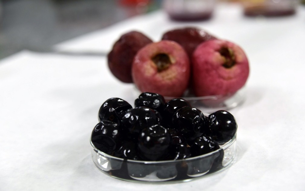 Pesquisa da Unicamp aponta propriedades medicinais do jambo-vermelho e da jabuticaba  (Foto: Antonio Scarpinetti – Unicamp)