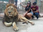 Mulher Melancia faz carinho em leão em zoológico na Argentina