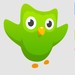 Aplicativos para Android: veja as melhores opções para o seu celular Duolingo_icone