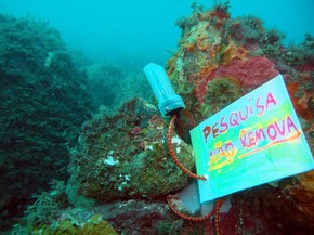 Wallpaper Pesquisa Revela Que Temperatura No Fundo Do Mar De Sc Influencia For iPhone Free