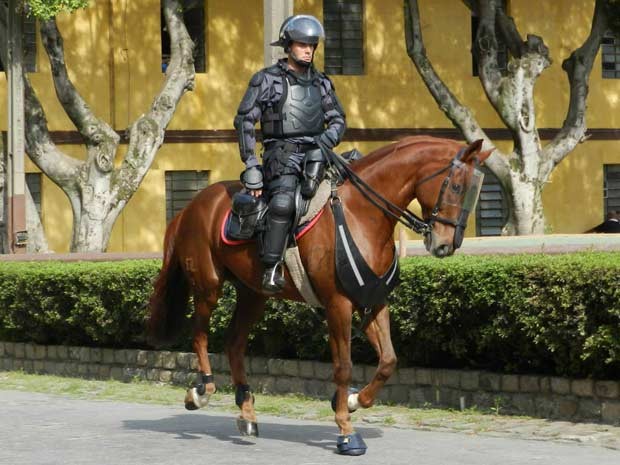 Cavalaria da Tropa de Choque terá proteção extra durante a Copa (Foto: Divulgação/Polícia Militar)