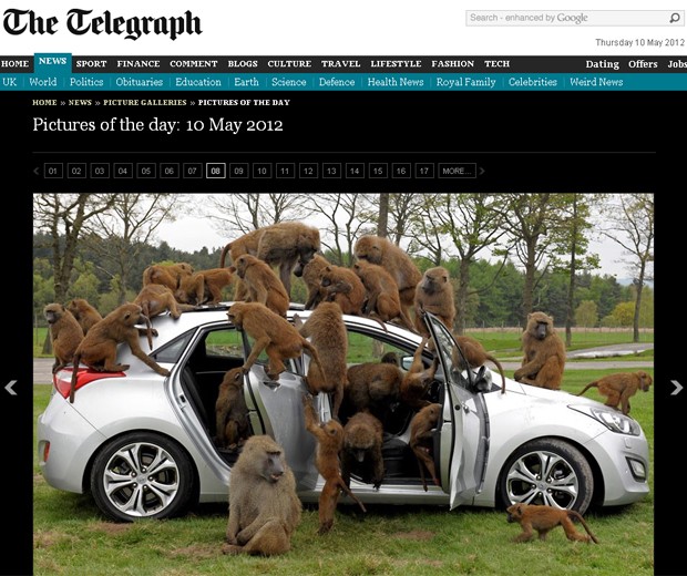 Hyundai; i30; babuinos (Foto: Reprodução/Daily Telegraph)