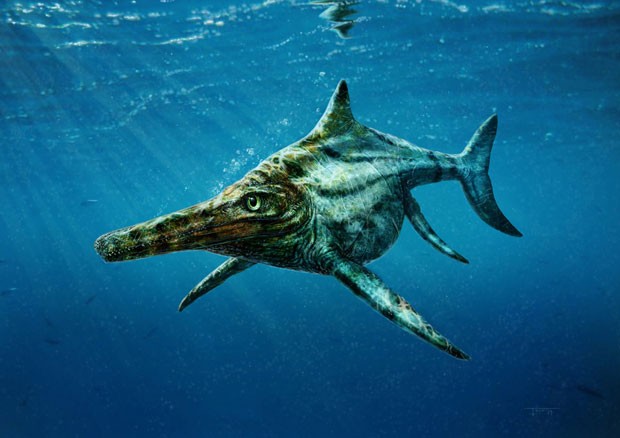 Ilustração mostra a espécie marinha 'Dearcmhara shawcrossi', que viveu há 170 milhões de anos onde atualmente é a Escócia. Réptil marinho foi descrito por cientistas (Foto: Todd Marshall/Reuters)