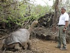 Tratador de última tartaruga gigante de Galápagos lamenta perda de 'melhor amigo' Tratador de última tartaruga gigante de Galápagos lamenta perda de 'melhor amigo'