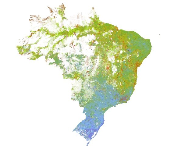 Mapa Racial do Brasil