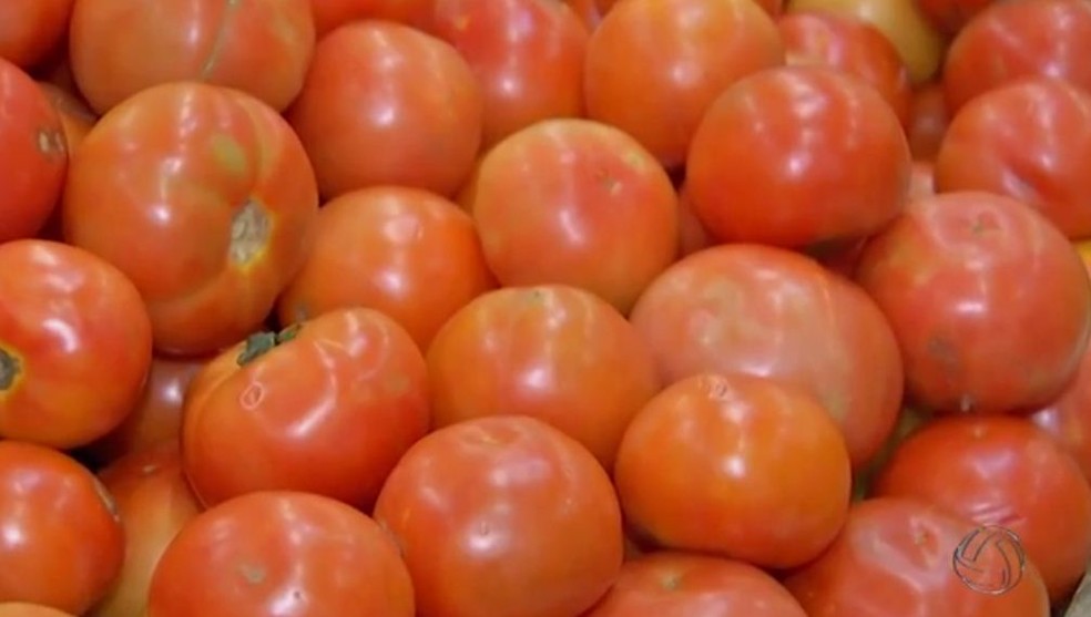 Quilo de tomate custa R$ 2,50 em Pimenta Bueno e R$ 2,00 em Rolim de Moura  (Foto: Reprodução/TV Morena)