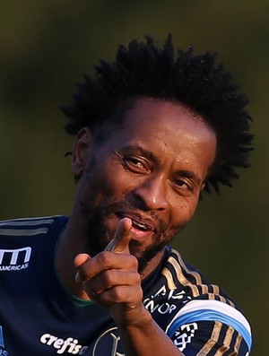 Zé Roberto busca título inédito e vê Palmeiras vacinado para as finais