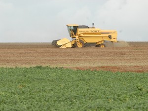 Governo do Paraná divulga previsão de crescimento de 6% na produção de grãos (Foto: Jonas Oliveira/Divulgação/ANPr)