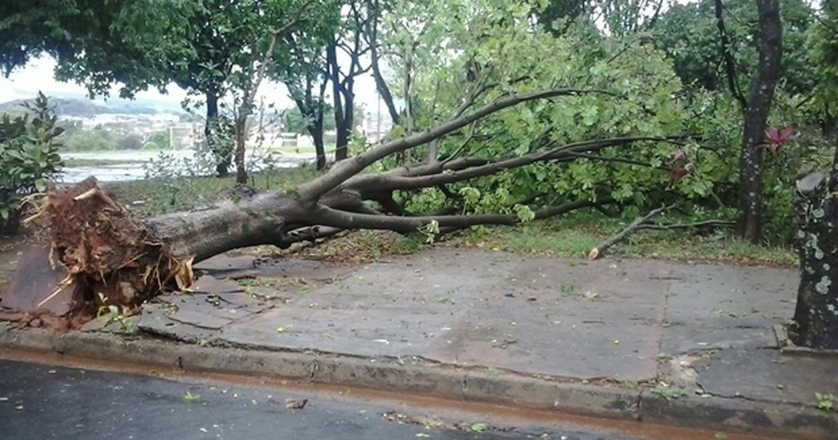 G Chuva Forte E Ventania Provocam Estragos Em Rio Preto E Regi O