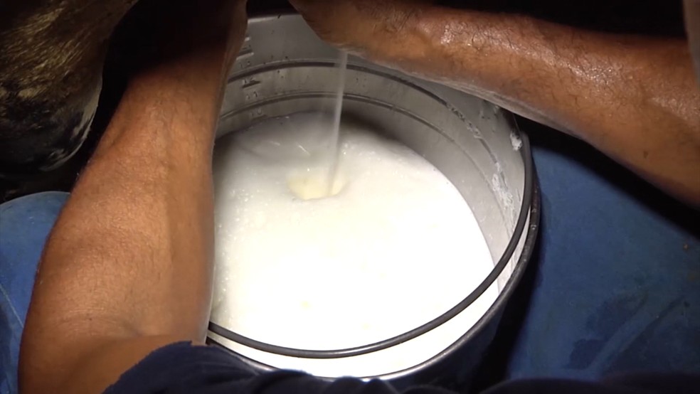 Litro de leite custa em média R$ 0,91 em Rondônia segundo pesquisa de preço da Emater (Foto: Reprodução/TV Mirante)