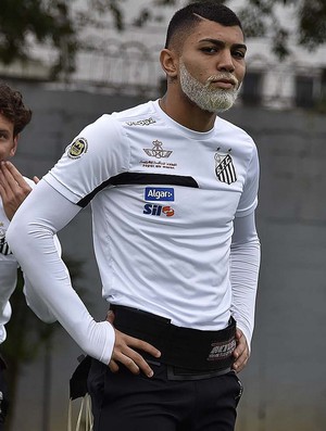 Gabriel Gabigol Santos (Foto: Ivan Storti/Santos FC)