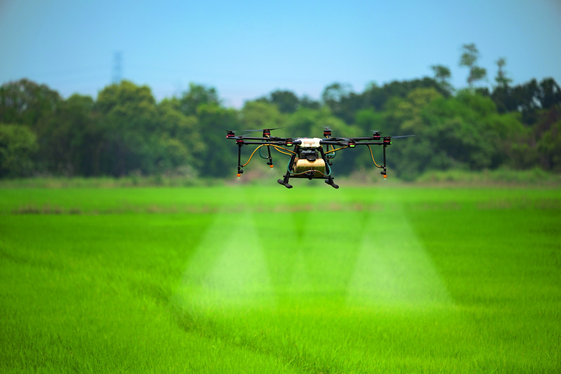 Tudo começa com monitoramento: veículos aéreos não tripulados (vants), drones, satélites ou sensores embarcados em máquinas agrícolas (Foto: Ilustração/Thales Molina)