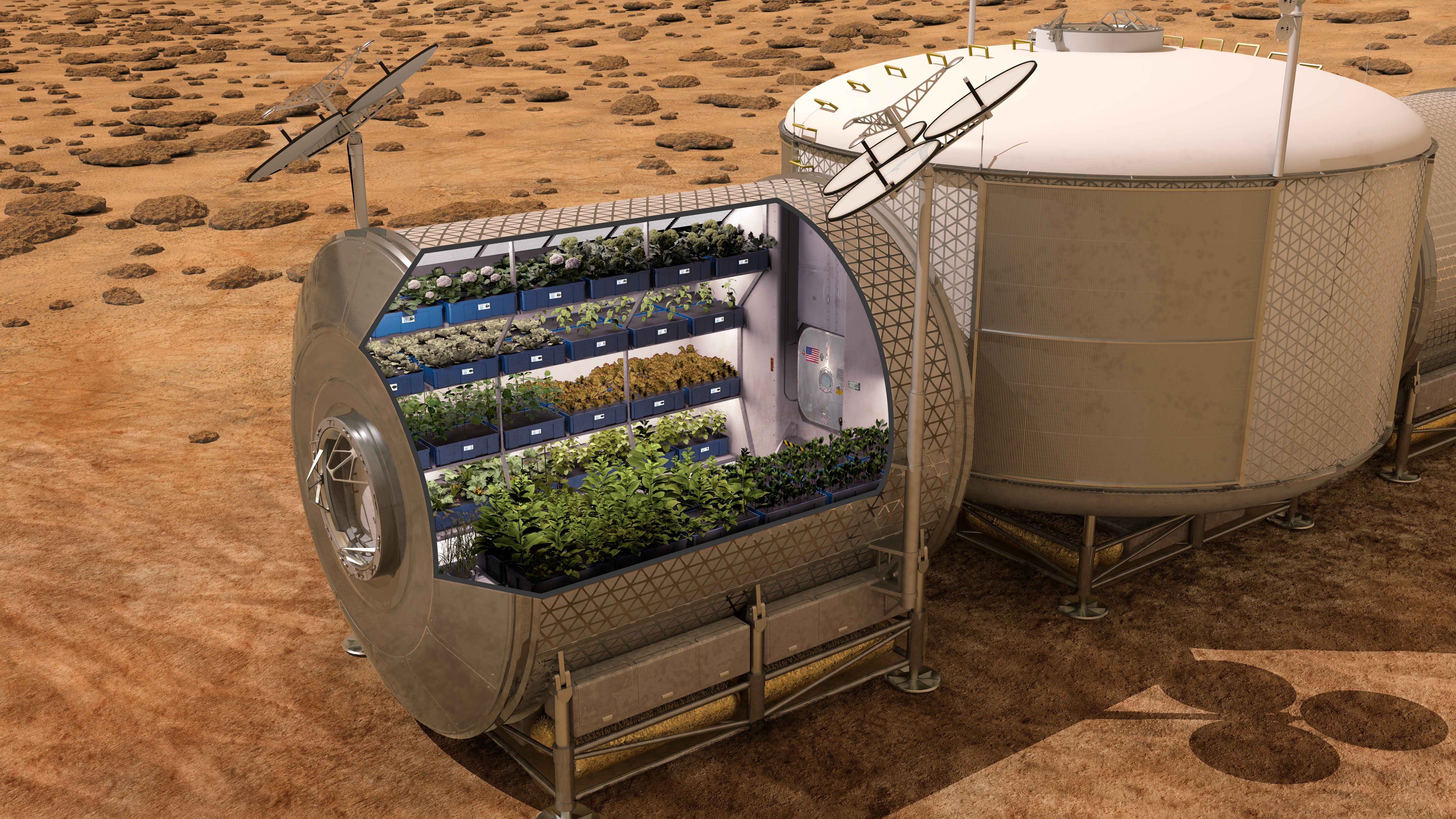 Em breve, estufas como a desta simulação podem estar na superfície de Marte (Foto: NASA) Em breve, estufas como a desta simulação podem estar na superfície de Marte (Foto: NASA)