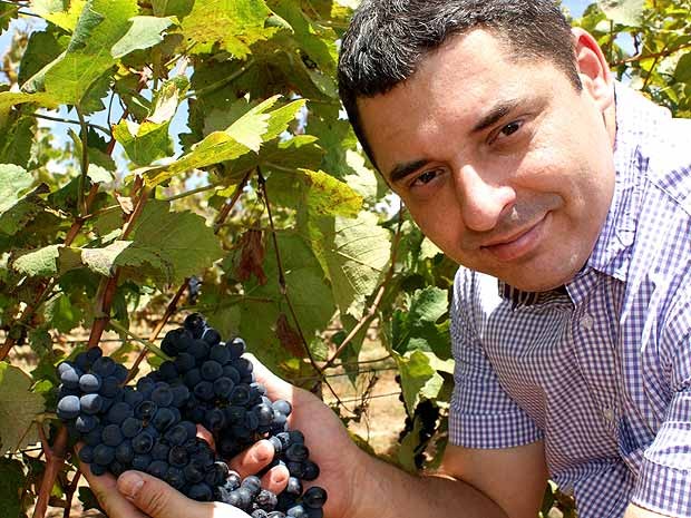 Médico e proprietário da Pireneus Vinhos e Vinhedos, Marcelo Souza segura cacho de uvas em Cocalzinho de Goiás (Foto: Vianney Bentes/G1)