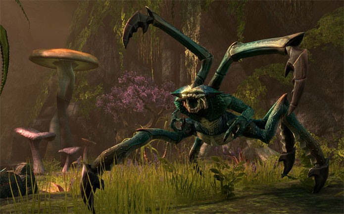 The Elder Scrolls Online (Foto: Divulgação)