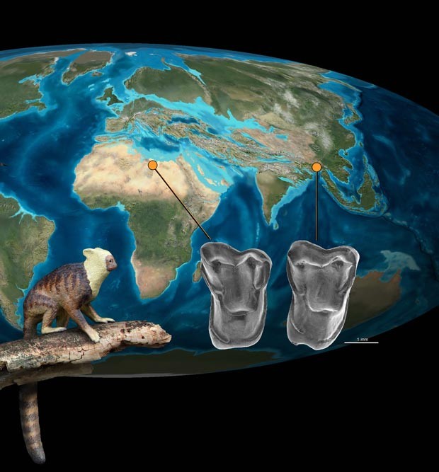 Localização dos fósseis encontrados, com uma ilustração de como seria o 'Afrasia djijidae' (Foto: Jean-Jacques Jaeger/Divulgação)