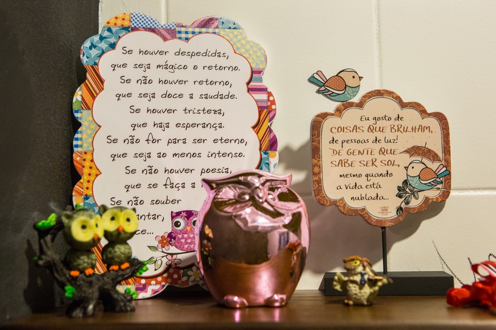 Presentes dados pelos fãs de Emilly Araújo, do BBB 17 (Foto: Felipe Monteiro / Gshow)