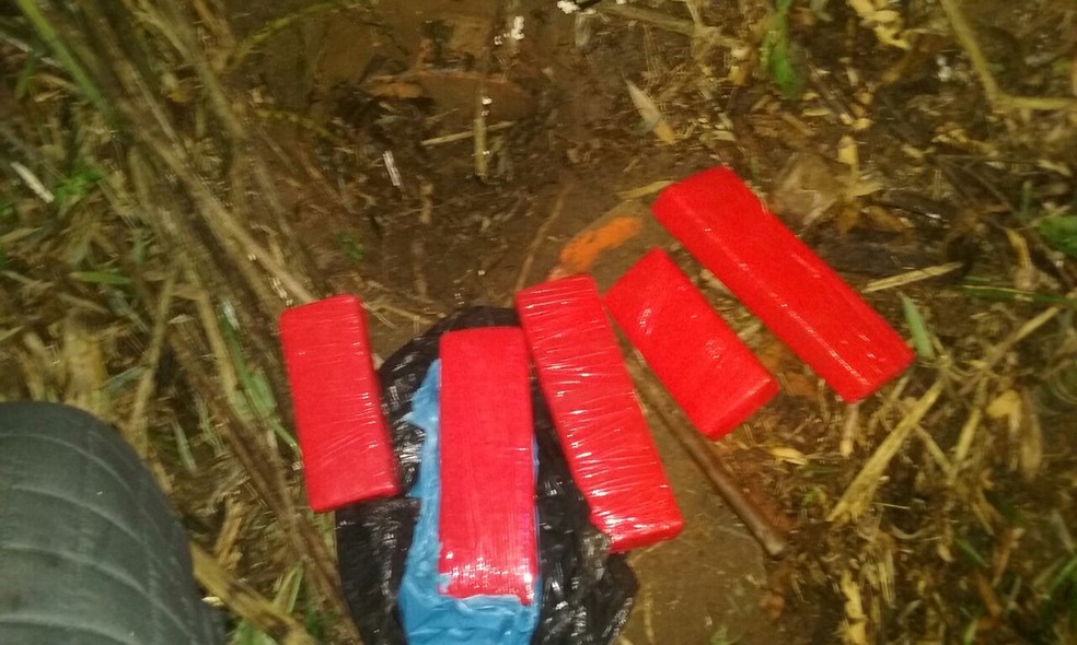 Carga de droga estava enterrada em uma mata (Foto: PM / Divulgação)