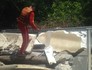 Destroços na mata são de foguete da Guiana (Divulgação/ Corpo de Bombeiros do Amapá)