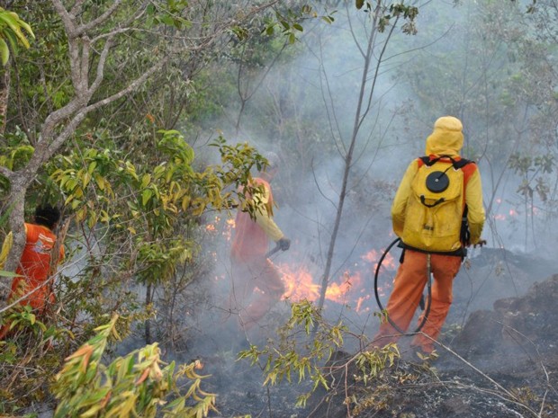 incêndio em pindobaçu (Foto: Jerônimo Alves Olimpio / Arquivo Pessoal)