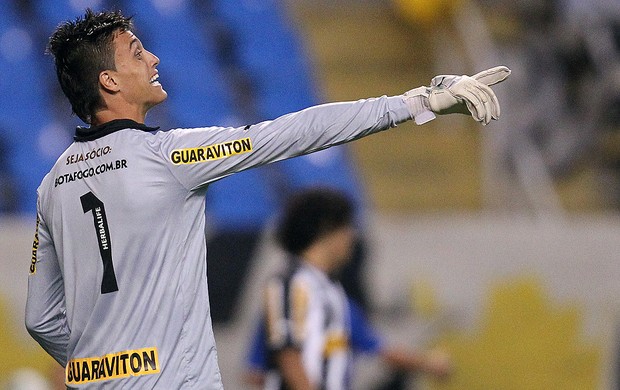 Milton Raphael, Botafogo x Cruzeiro (Foto: Satiro Sodré / Agif)