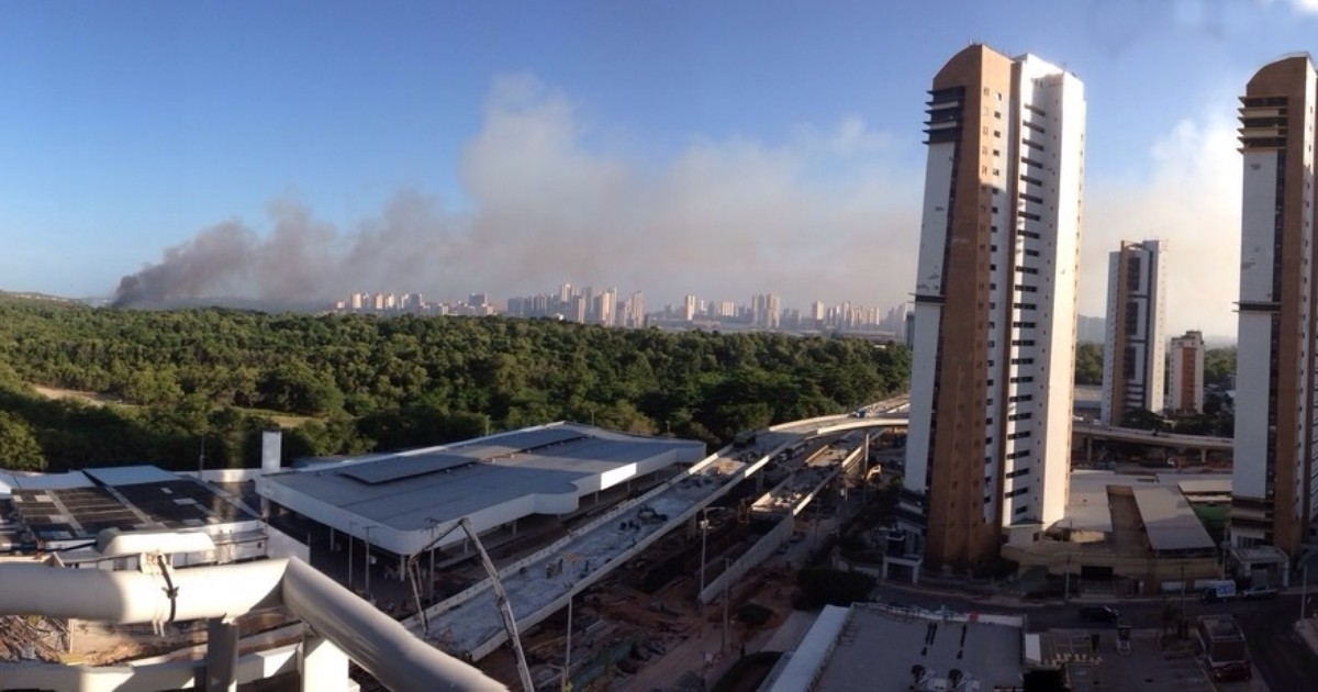 G1 Incêndio atinge área do Parque Ecológico do Cocó, em Fortaleza notícias em Ceará G1 Incêndio atinge área do Parque Ecológico do Cocó, em Fortaleza notícias em Ceará