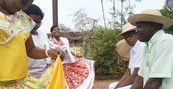 Grupo musical de quilombo faz shows (Grupo musical de quilombo faz shows no interior de Pernambuco (Sesc / Divulgação))