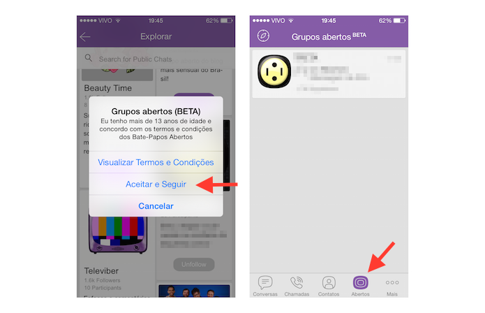 Aceitando os termos do Viber necessários para seguir um grupo (Foto: Reprodução/Marvin Costa)
