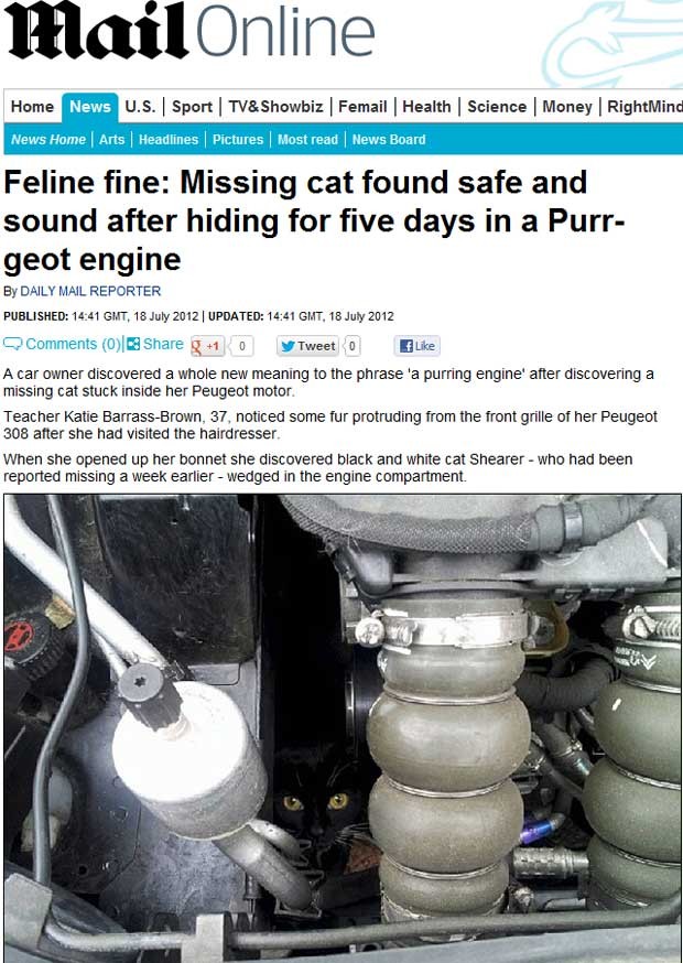 O gato ficou 5 dias desaparecido e foi encontrado em motor de carro na Inglaterra (Foto: Reprodução)