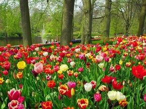 Parque Das Tulipas Abre Temporada De Primavera Na Holanda Veja Fotos Turismo E Viagem G1