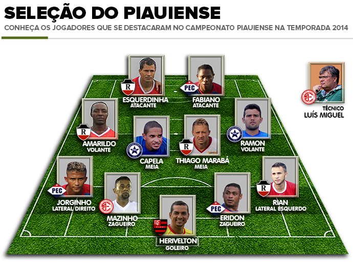 Seleção Piauiense 2014 (Foto: Arte: Adelmo Paixão)