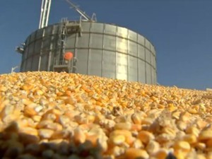 Em Nova Mutum, milho estocado fora do silo preocupa agricultor (Foto: Reproduo/TVCA)