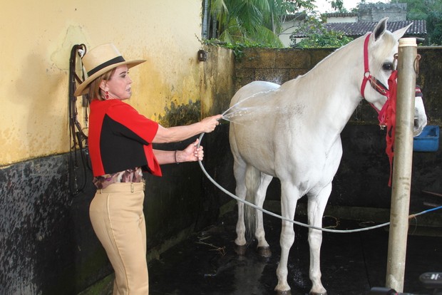 Zilu Godoi (Foto: Anderson Borde / AgNews) Zilu Godoi (Foto: Anderson Borde / AgNews)