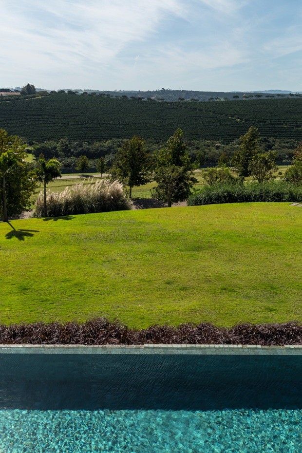 Detalhe. O contraste de cores da grama-esmeralda com o capim-do-texas-rubro e a piscina chama atenção no jardim. No fundo, touceiras de capim-do-texas-verde, capim-dos-pampas e jasmim-amarelo (Foto: Edu Castello / Editora Globo)