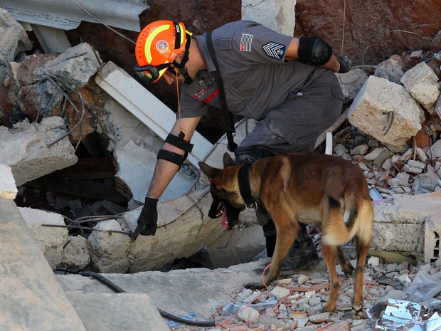 As equipes dos bombeiros usam cães para tentar encontrar uma mulher que estaria sob os escombros da igreja (Foto: Werther Santana/Estadão Conteúdo)