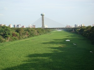 Foto mostra proliferação de plantas aquáticas resultado da poluição no Rio Poti, no período de verão (Foto: Gil Oliveira)