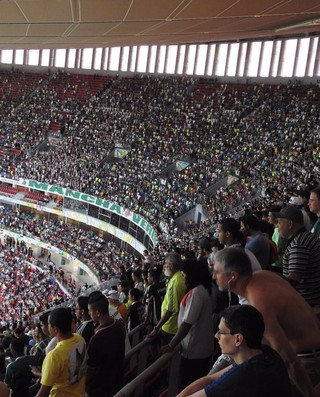 Torcida do Palmeiras Flamengo x Palmeiras (Foto: Felipe Zito) Torcida do Palmeiras Flamengo x Palmeiras (Foto: Felipe Zito)