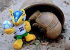 'Fuleco' real pode sumir
em 25 anos (Esther Nazareth/RioZoo)