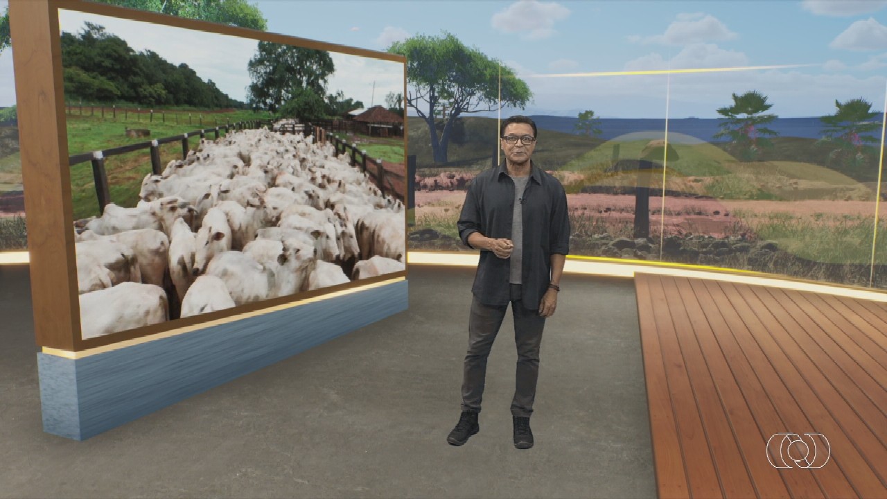 Jornal do Campo destaca safra, preços e política no campo tocantinense