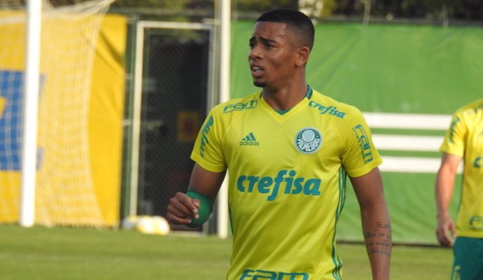 Gabriel Jesus Palmeiras (Foto: Rodrigo Faber)