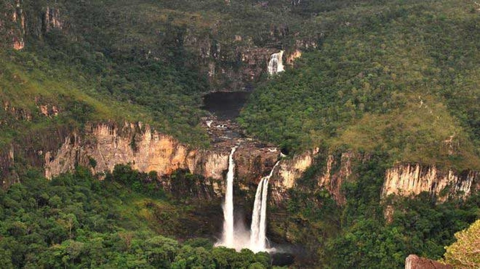 Plantas do cerrado atuam como uma imensa esponja, recarregando aquíferos que abastecem rios e reservatórios  (Foto: Nelson Yoneda/ICMBio/ BBC)