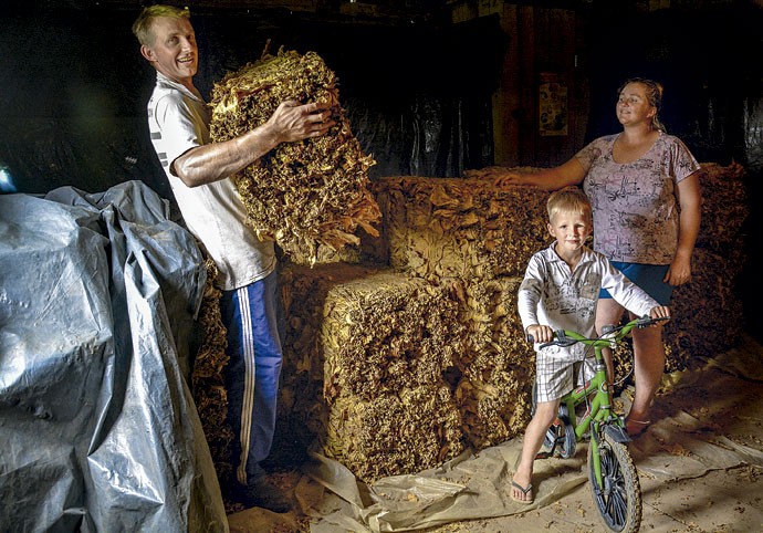 As vítimas: a família Diel no paiol onde acontece a secagem da folha de tabaco (Foto: Fernando Ageoletto)