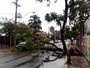 Após chuva, 16 mil clientes ficam sem energia elétrica no RS, diz CEEE