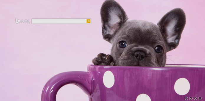 O Cute Cloud é a aposta fofa do Bing para o dia da mentira (Foto: Reprodução/Bing) O Cute Cloud é a aposta fofa do Bing para o dia da mentira (Foto: Reprodução/Bing)