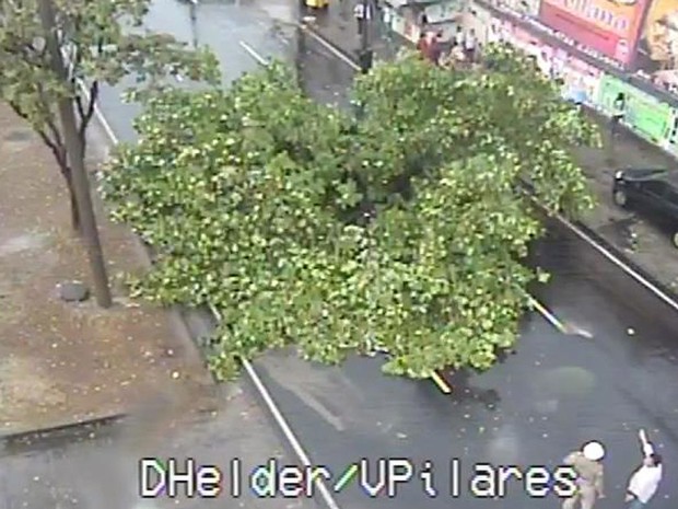 A queda de uma árvore interditava, por volta das 16h40 desta sexta (21), a Avenida Dom Hélder Câmara, no sentido Engenho de Dentro, na altura de Pilares (Foto: Centro de Operações Rio/Divulgação)