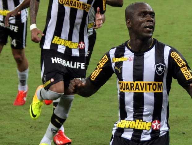 Seedorf  botafogo x fluminense (Foto: Hans von Manteuffel/Agência Globo)